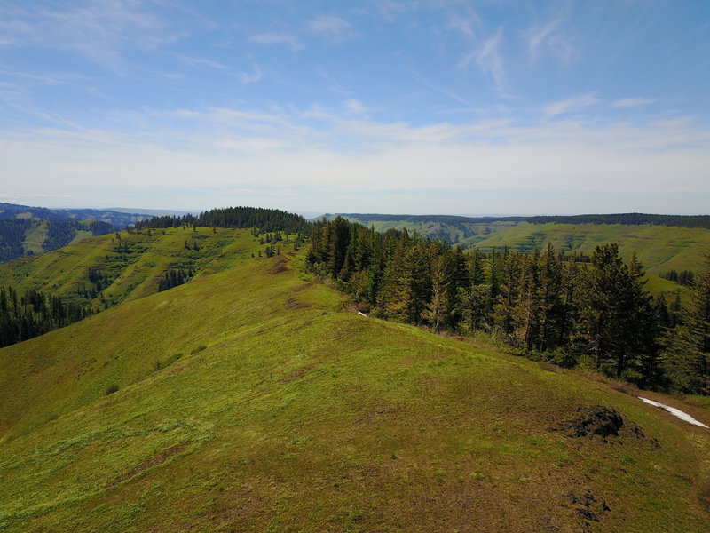 View of trail on ridge line. Note small snow patch in mid-May.