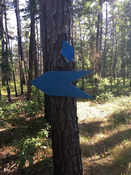 Typical Trail Markers