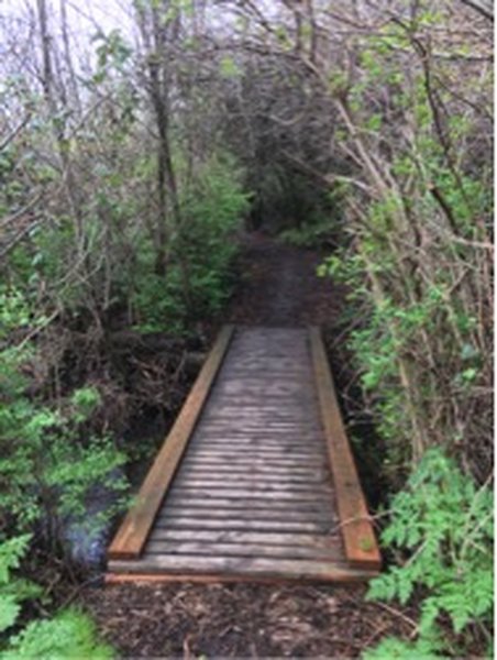 Early spring view of trail