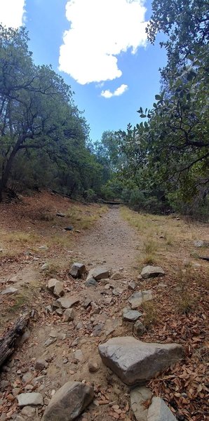 At the trailhead