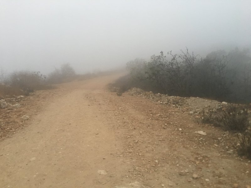 Typical condition of this trail - I'll bet there's a nice view when it's clear.