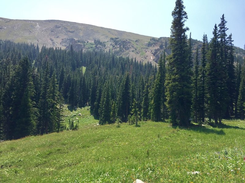 King Lake Trail 08/06/18