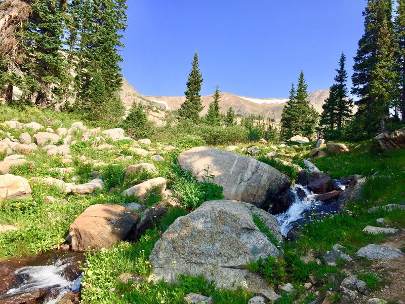 Taking in the views while filtering water on King Lake Trail 08/07/18