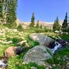 Taking in the views while filtering water on King Lake Trail 08/07/18