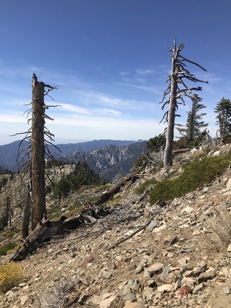 Mt. Islip Ridge looking West