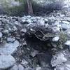 Columbine Spring, Icehouse Canyon Trail