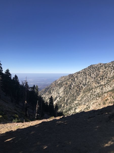 Big Horn Saddle on the way to Cucamonga Peak view to the west.