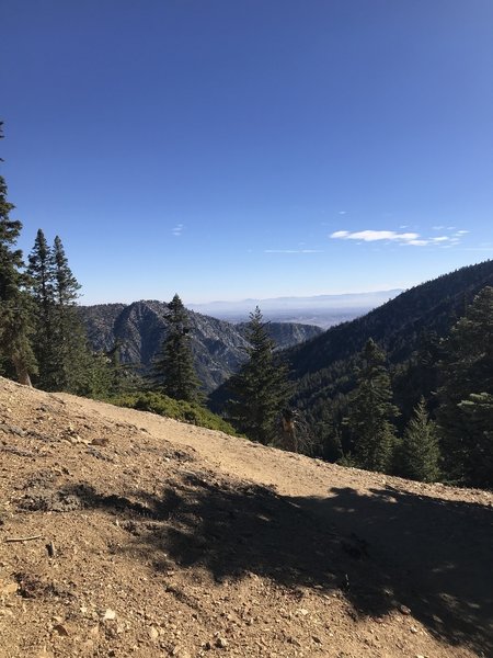 Big Horn Saddle on the way to Cucamonga Peak.  View to the northeast