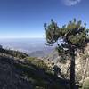 Cucamonga Peak Trail view to the west