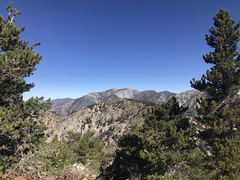 View of Mt. Baldy from the Cucamonga Peak Trail