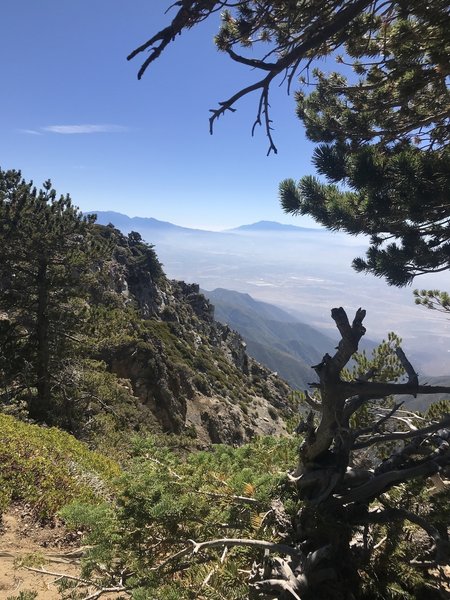 East of Cucamonga Peak on the trail to Etiwanda Peak