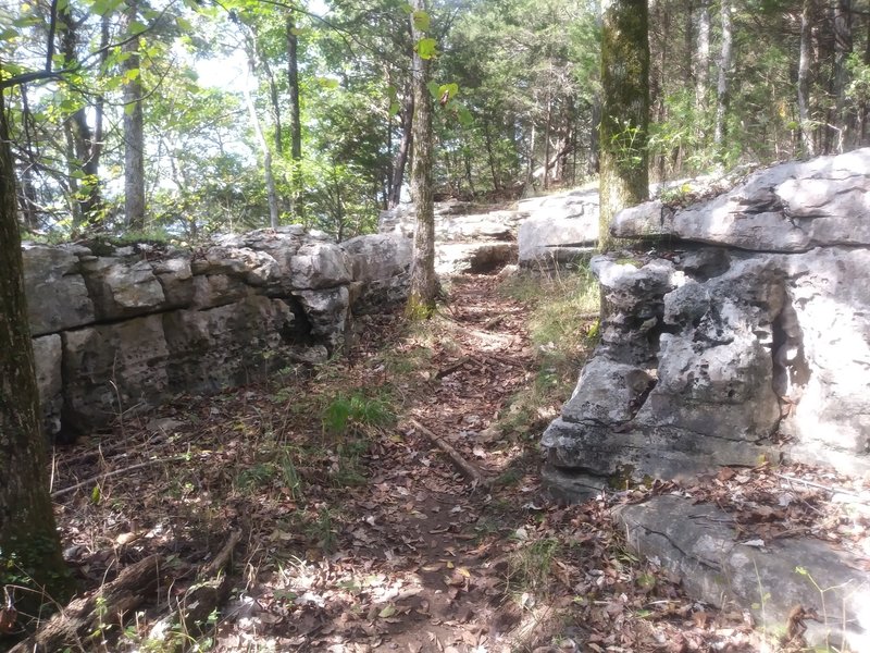 Rocky steps along the trail