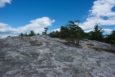 Looking at the summit of Jockey Cap after hiking over the top.  Take time to explore the summit and the views.