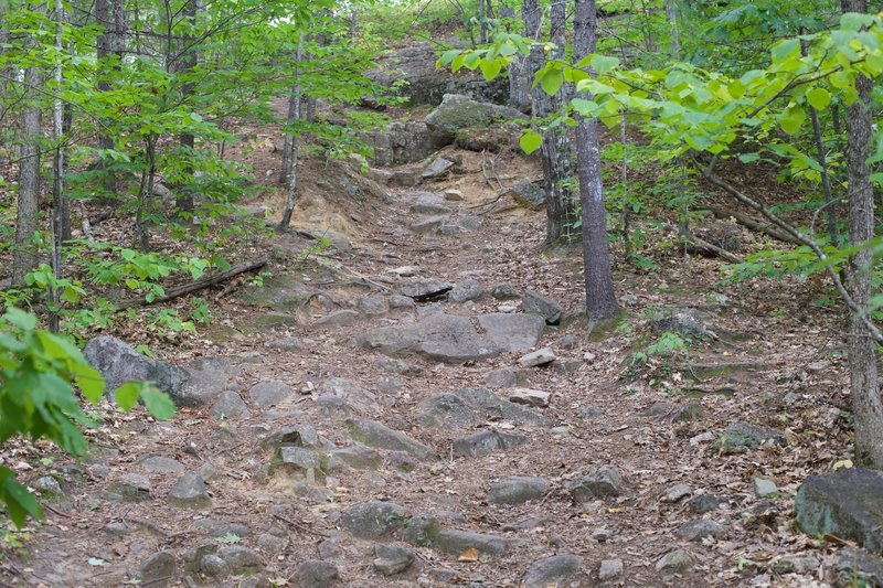 Toward the top, the trail gets rockier and a little more washed out.