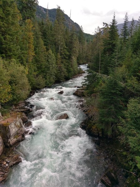 Cheakamus River from the bridge at McLaurin's Crossing