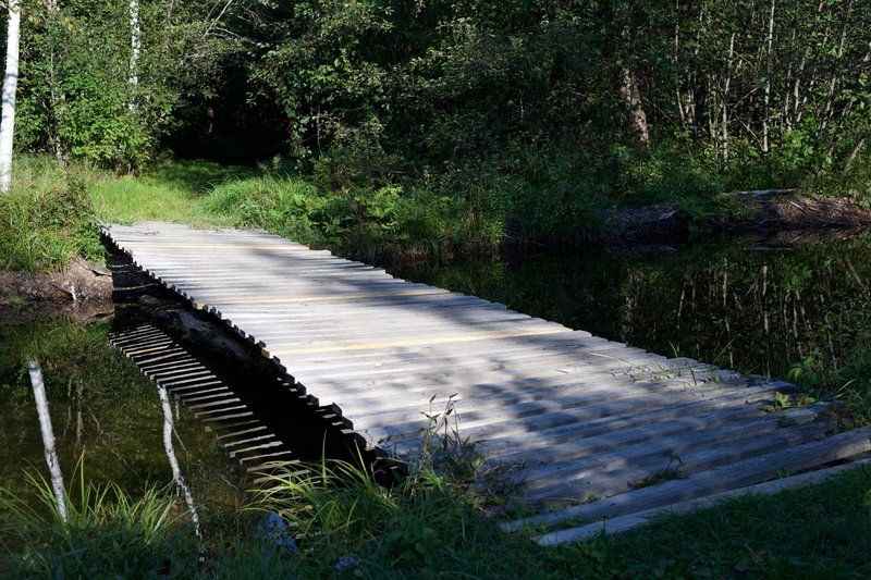 A wooden bridge crosses a stream that feeds into Shell Pond.