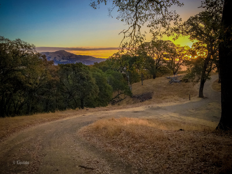 First view of Mt Diablo against the rising sun