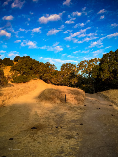 Split with Corduroy  Hills Trail - Take left and keep going up