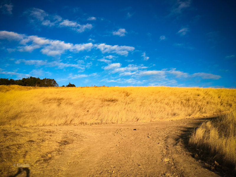 road goes left and right.. both leads to same destination.. take right..