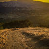 Last View of Mt Diablo before heading into the trees