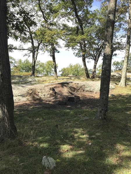 Fire pit not far from the Stockbridge shelter