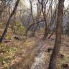 Hiking through Dry Canyon.