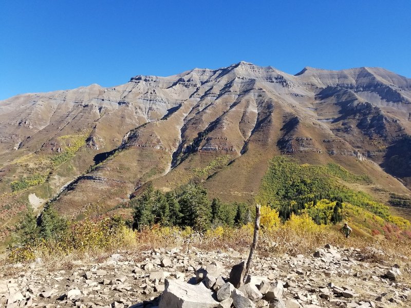 From the top of Baldy looking north at Mt. Timpanogos.