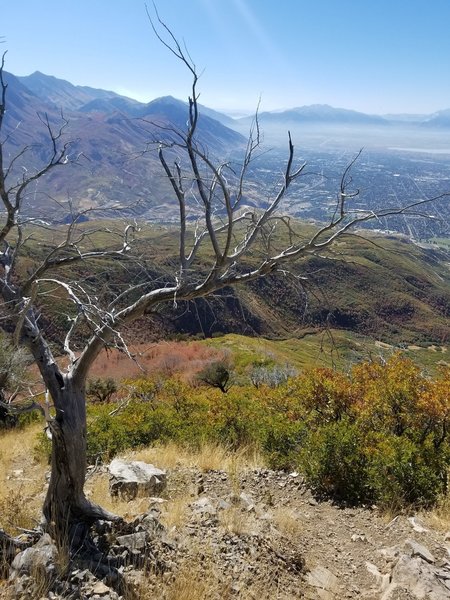 View from trail down the face of Baldy.