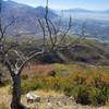 View from trail down the face of Baldy.