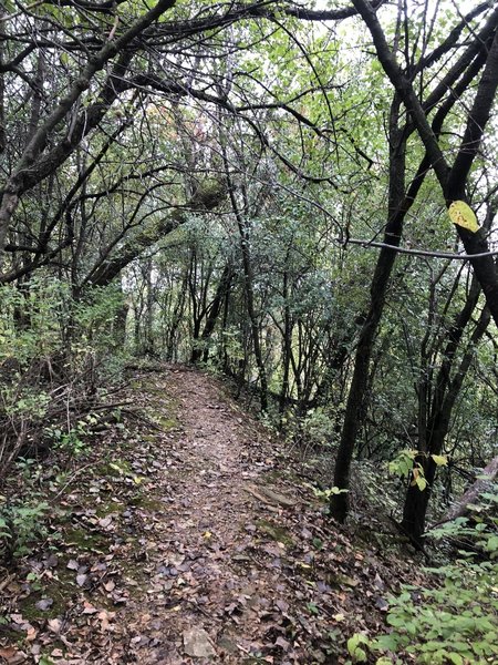 Edge of the hill to the meadow connecting the old quarry