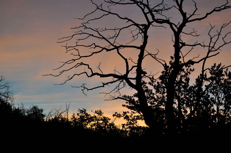 A beautiful sunrise, after camping out near the intersection of Barnhardt Tr and AZT.  Good water at Chilson Spring.