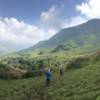 One of the best views on the VMM trail races, viewing the whole valley landscape