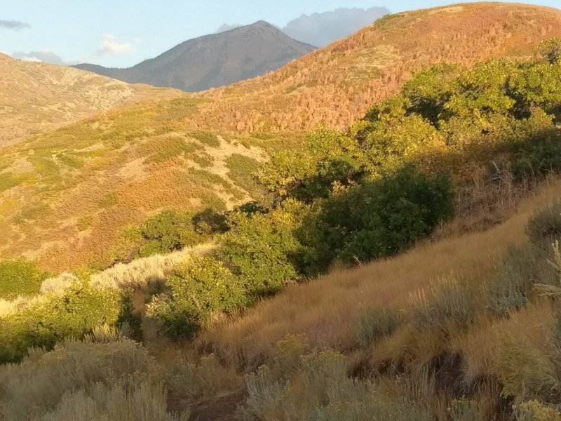 Looking east from the BST Trail at dusk.