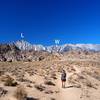 On the loop trail, with Lone Pine Peak (L) and Mount Whitney (W) on the horizon.