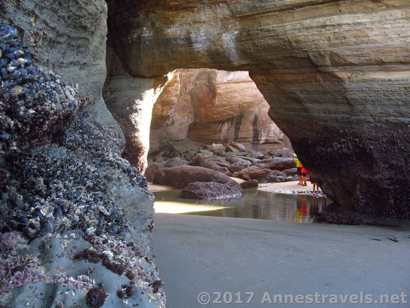 Entrance to the Devils Punchbowl at low tide