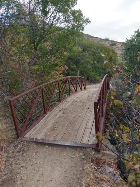 Nice bridge where the Aqueduct Trail and the Burnham Loop Trail meet