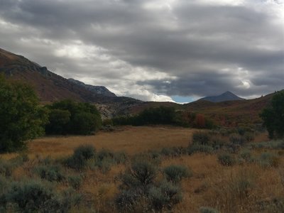Lovely calm meadow near the top of Hoof N Boot Trail
