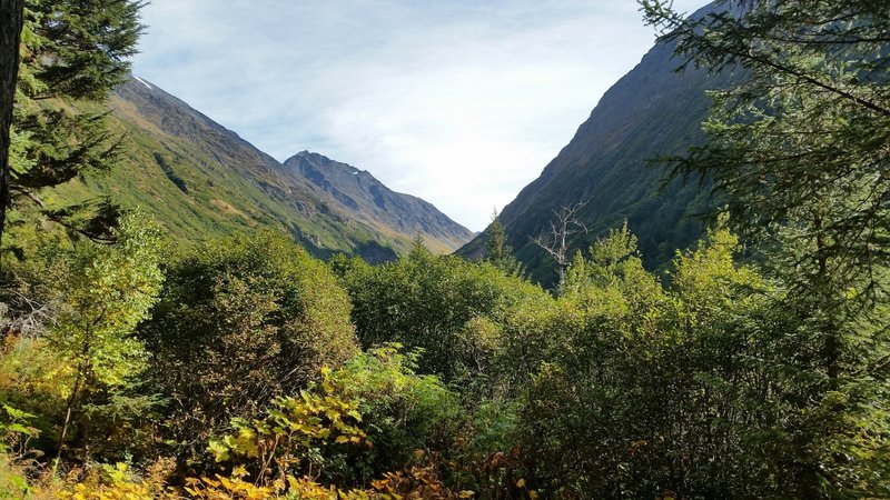 Looking up the valley on Victor Creek Trail