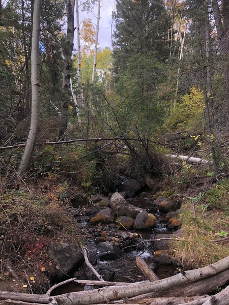 Creek crossing