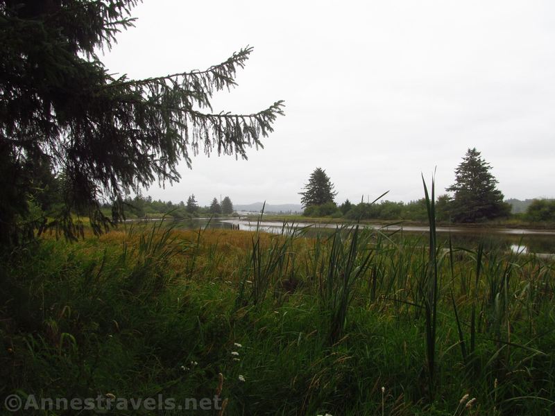 Along the Netul Landing Trail