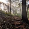 Morning rays break through the fog in the Delaware Water Gap National Recreation Area