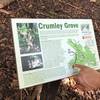 Crumley Grove Sign