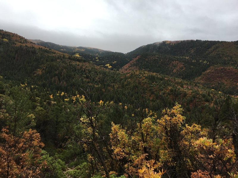 View from Dry Lake Spring Trail