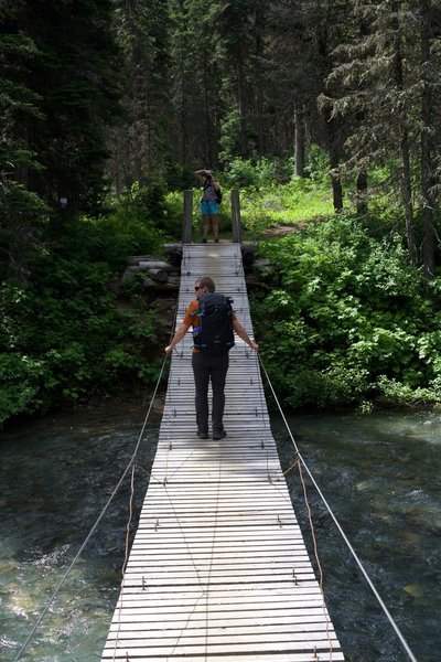 Crossing Reynolds Creek, a suspension bridge adds a little bit of excitement to the hike.