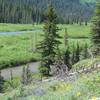 The Saint Mary River runs below the trail.  Depending on the time of day, you might see a moose around here.