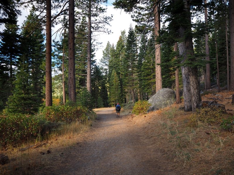 Along the road in early morning