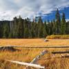 The large meadow along the road