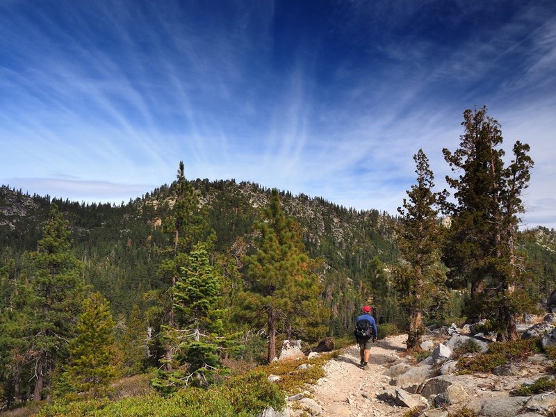 The view heading north on the trail