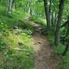 Singletrack trail