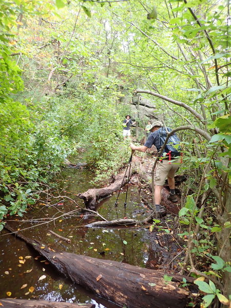 Crossing the easy part of north section of Terrace Pond Circluar